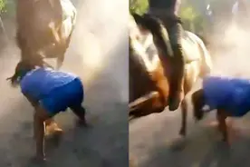 阿根廷一孕妇观看赛马误入赛道 被马踢中头部当场昏倒图片