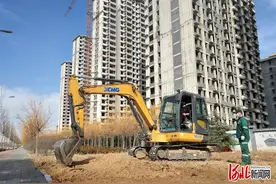 河北邢台市区春季绿化种植工作全面启动图片