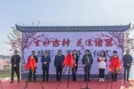 兰溪诸葛十万株樱花盛开迎客，莫要错过长达两个月的赏花期图片