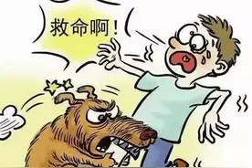 【民法典说】宠物伤人，承担的这几种法律责任要认清！图片