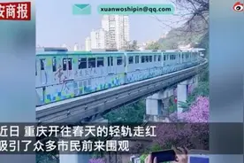 重庆开往春天的轻轨撞上无人机，官方：放飞者已违反相关规定图片