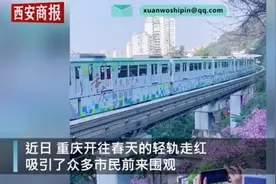 重庆开往春天的轻轨撞上无人机，官方：放飞者已违反相关规定图片