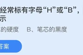 铅笔上经常标有字母H或“B其中H表示什么？蚂蚁庄园今日问题答案图片