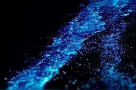 整片海都在发光！广东这里再现奇观图片