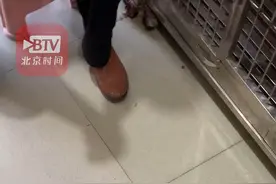 爱犬在宠物店洗澡后大爷竟不认识了：这不是我的狗，没这么白图片