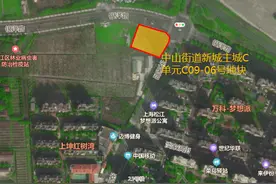 三名自然人3650万竞得上海松江商业用地，将建标准化菜场图片