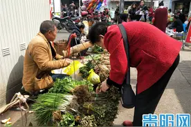水芹菜、地米菜、蕨菜、蒲公英……贵阳野菜上市啦，快来尝鲜图片