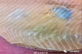 南宁一餐厅被曝疑似使用变质三文鱼图片