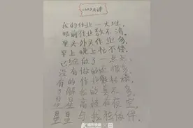 我眼里早已没有了星星！小学生赶作业太苦，写出一首“闻者落泪”的藏头诗图片