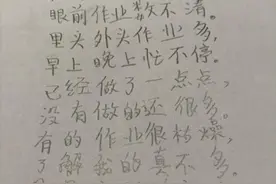 我眼里早已没有了星星！小学生赶作业太苦，写出一首“闻者落泪”的藏头诗图片