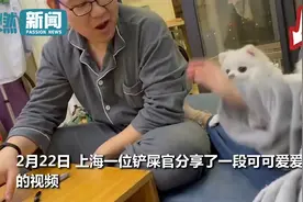 小狗狗可以有多偏心！狗子旁观妈妈打爸爸 看见他反击瞬间翻脸图片