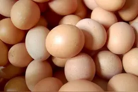 头天煮的带壳鸡蛋第二天能吃吗？冰箱里边可以放几天？图片