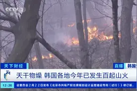 山林过火面积达到255公顷！持续21小时后，韩国山火终于被扑灭图片