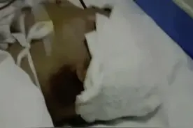 男子在押期间变“植物人”家属怀疑遭殴打 河北香河看守所：民警无违规违纪图片