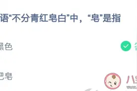 常用语不分青红皂白中皂是指什么颜色 蚂蚁庄园2月24日正确答案图片