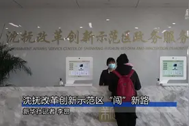 沈抚改革创新示范区“闯”新路视频封面