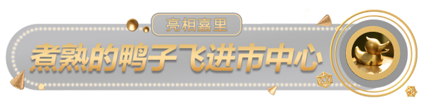 花胶可以和鸭褒吗 2026年花胶炖鸭可以加什么