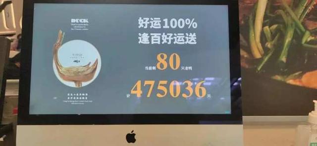 花胶可以和鸭褒吗 2026年花胶炖鸭可以加什么