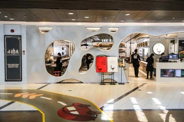 花胶可以和鸭褒吗 2026年花胶炖鸭可以加什么