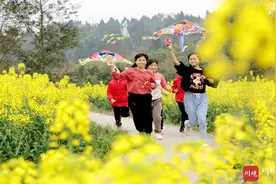 仁寿：油菜花开了！走，赴这场春天明媚的温暖图片
