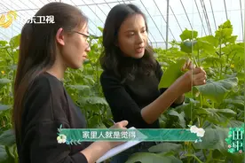 86秒丨人美心甜！“90后白领”与985高校毕业团队回乡建“菜园”做“网红”农业图片