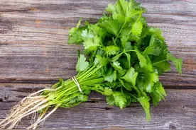 香菜竟高居暗黑食材榜单前列，今天是它的世界讨厌日图片