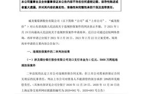 申请再审“违规担保案”，亏损攀升的ST威龙前路成谜图片