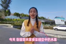 四川米易的“空中草莓”熟了 快来采摘视频封面