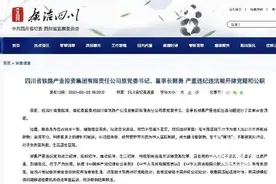 贪腐亲兄弟 收钱“夫妻档”！盘点那些落马的“最佳拍档”腐败官员图片