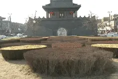 这样的“狗屎运”要不得 ！图片