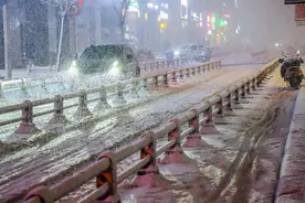 闪电贯穿夜幕！郑州上演“雷震雪”，路人“一夜白头”图片