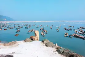 汕头的“头”图片
