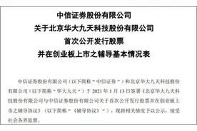 国产EDA龙头华大九天已上市辅导，国家大基金持股11%图片