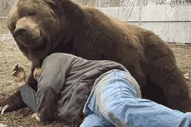 Teddy总统心疼小熊，于是就有了泰迪熊图片