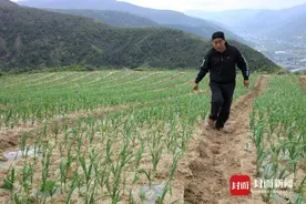 四川松潘县五间房村第一书记殷启雄：用“一颗蒜”带出致富路｜了不起的我们图片