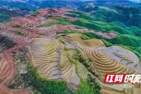 “十八洞黄金茶”创始人龙清泉荣获全国脱贫攻坚先进个人图片
