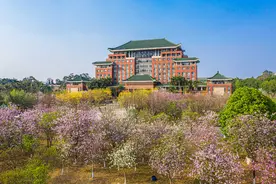 广州响起今年初雷，今夜到明天雷雨更明显图片