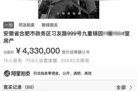 合肥政务区一套房 单价四万多被拍走图片