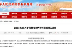 最新｜今年休渔期定了！爱吃海货的天津人抓紧了……图片