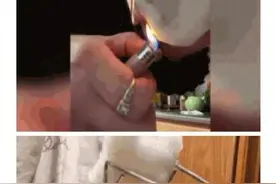 大型“智商欠费”现场，美国网友发现政府“大阴谋”图片