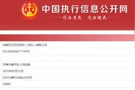 快讯｜中粮可口可乐河北公司成被执行人，或因名誉权纠纷而起图片