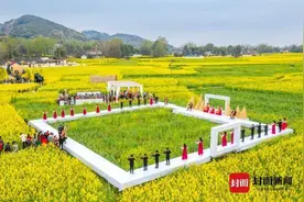百亩油菜花竞相绽放
来成都崇州赴一场赏花之约图片