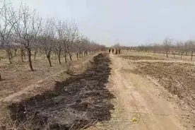 滨州无棣一村民因烧荒受到公安机关行政处罚图片