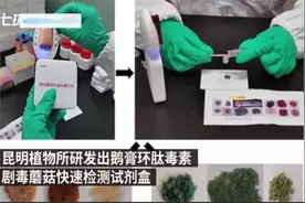 用好“法宝”让“毒蘑菇”现原形图片