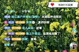女导游转型当主播：爬过400多趟黄山 最长一次直播13小时图片