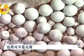 天然石元宵在陕西天坑被发现，又黄又白！“馋”坏网友：能吃吗？图片