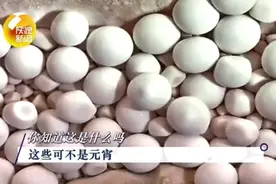 天然石元宵在陕西天坑被发现，又黄又白！“馋”坏网友：能吃吗？图片