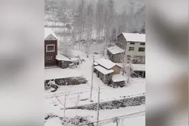 襄阳12小时降雪量达6毫米 网友：昨天还在赏花视频封面