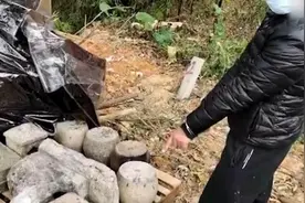 江门一百年古祠堂文物被盗，警方抓获“搬砖贼”视频封面