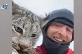 这下丢脸了！山猫偷吃鸡被农民一把逮住竟还被嫌弃图片